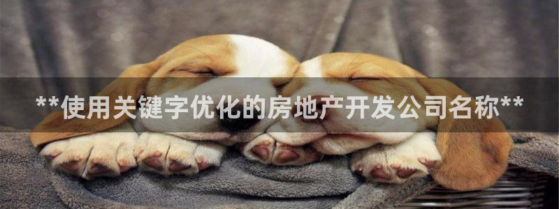 万向娱乐平台代理怎么做