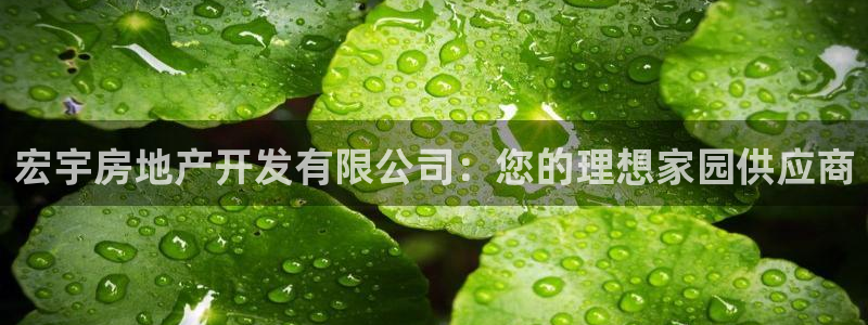 万向娱乐代理好看视频是真的吗