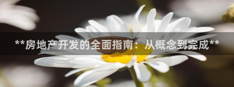 万向娱乐平台代理多少钱