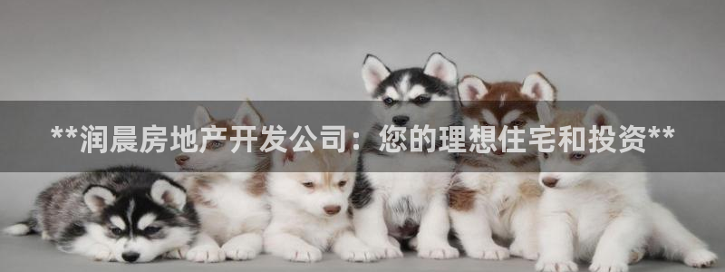 万向娱乐平台代理怎么样啊