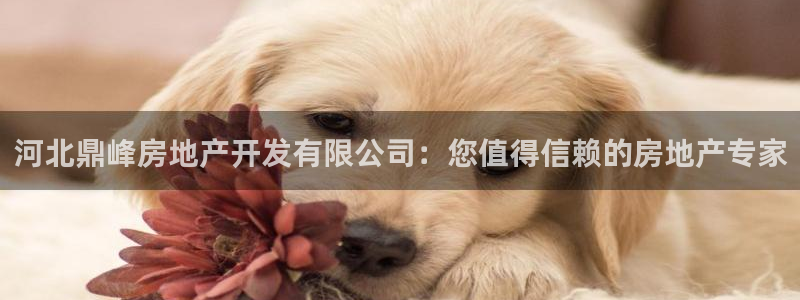 万向娱乐技术分享