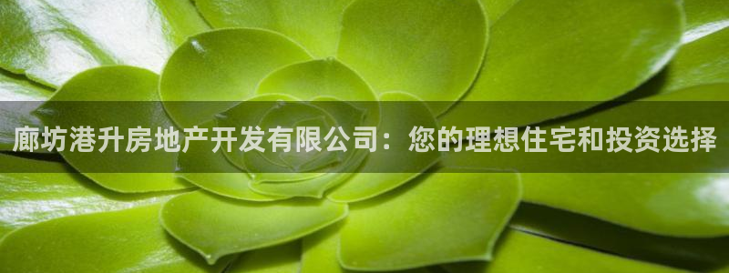 万向娱乐平台代理怎么样可靠吗
