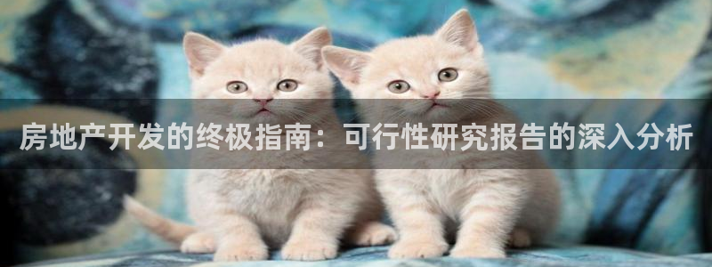 万向娱乐
