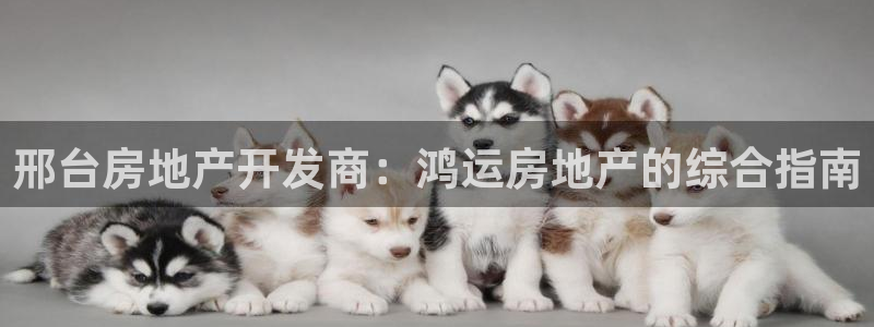 万向娱乐平台代理怎么做