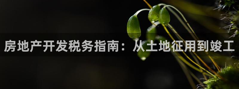 万向娱乐平台下载安装手机版