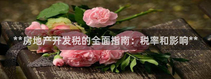 万向娱乐平台怎么下载