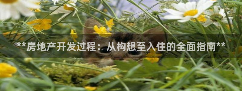 万向娱乐下载