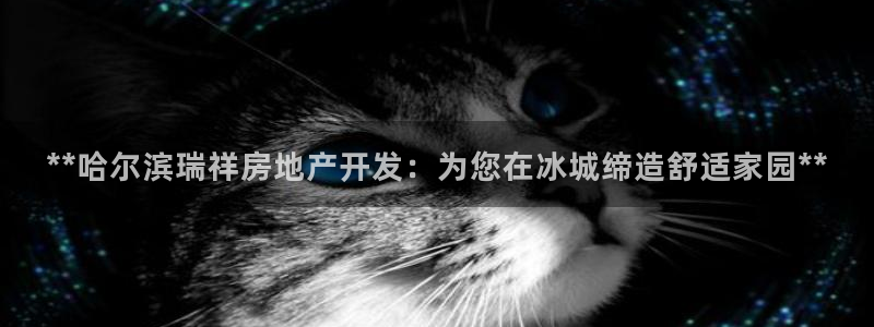 万向娱乐的494o3 主管