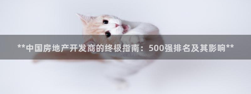 万象国际娱乐网址