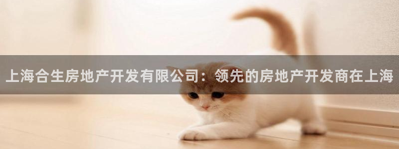 万向娱乐老板