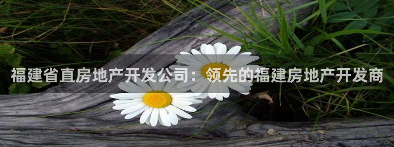 万象国际娱乐网址