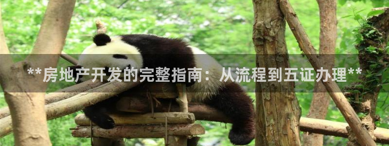 万向娱乐平台代理怎么做赚钱