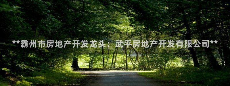 万向娱乐平台代理怎么做