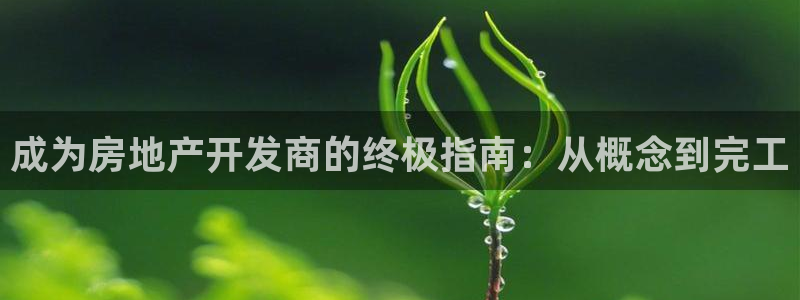 万向娱乐平台代理多少钱