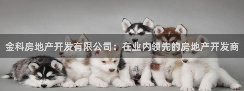 万象游戏代理