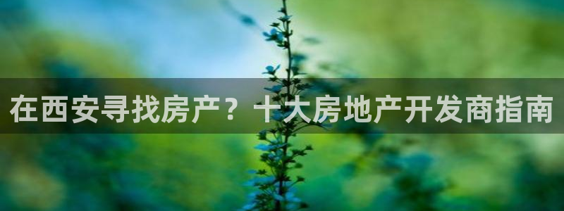 万向娱乐灯333OO