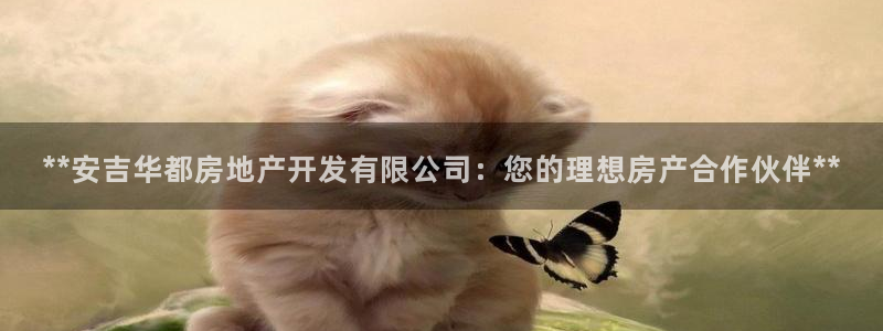 万向娱乐挂机