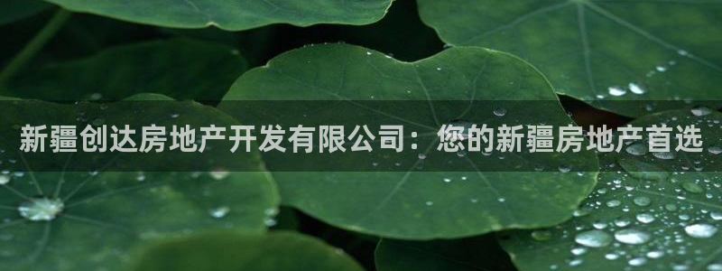 万向娱乐灯333OO