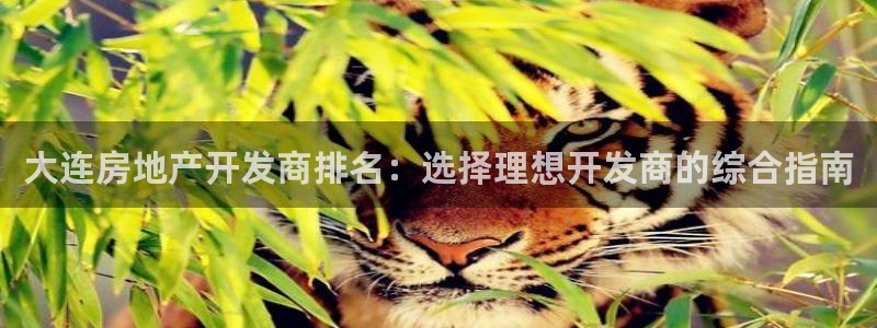 万向娱乐公司官网