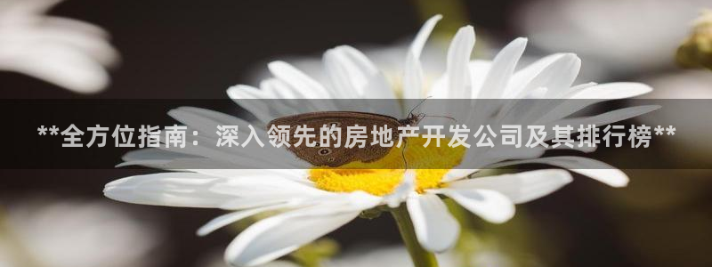 万向娱乐平台代理多少钱一个月