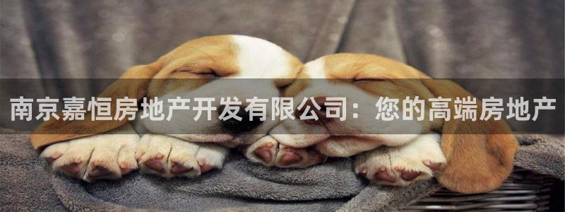 万向娱乐登陆