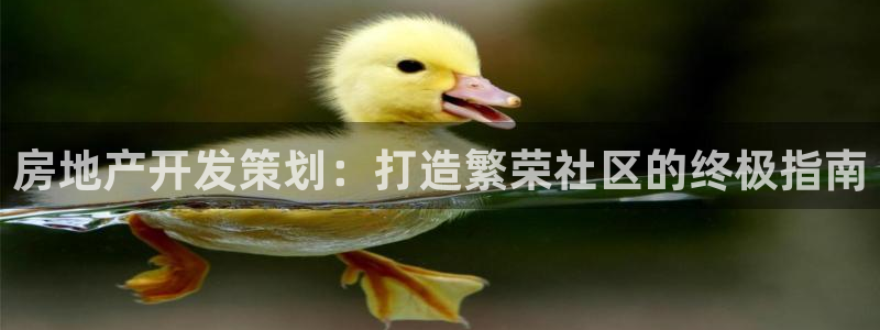 万向娱乐灯333OO