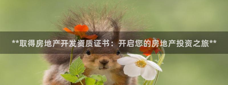 万向娱乐官网下载安卓