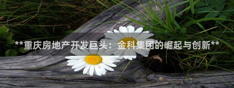 万向娱乐技术分享