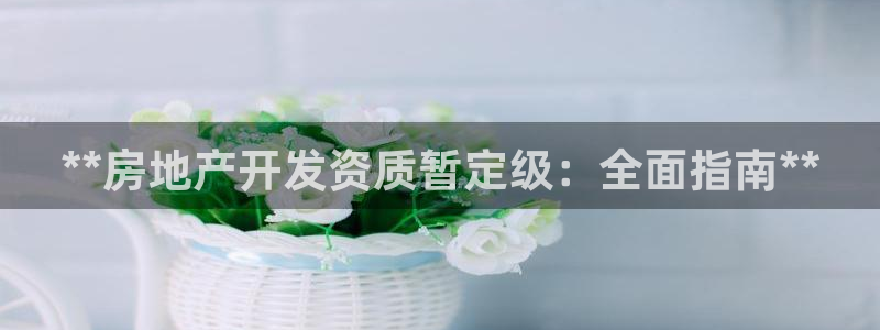 万向娱乐技术