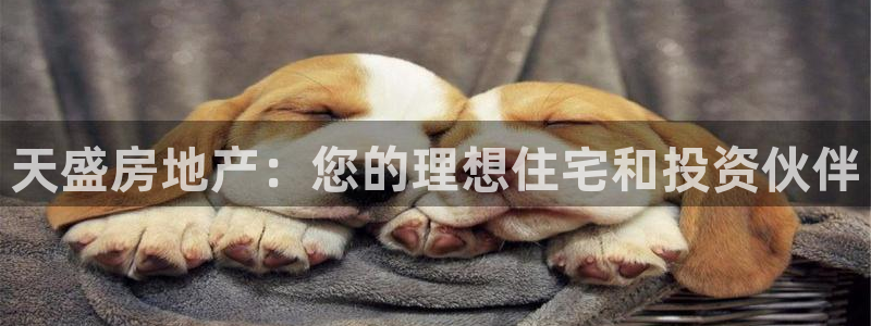 万向娱乐网址是什么