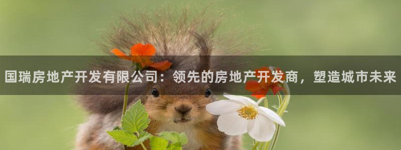 万向娱乐的494o3 主管