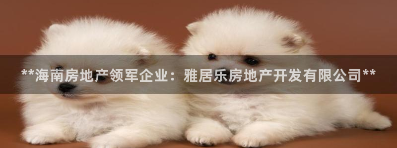 万向娱乐网址是什么