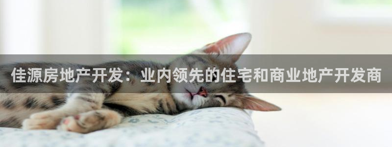 万向娱乐代理好看视频是真的吗