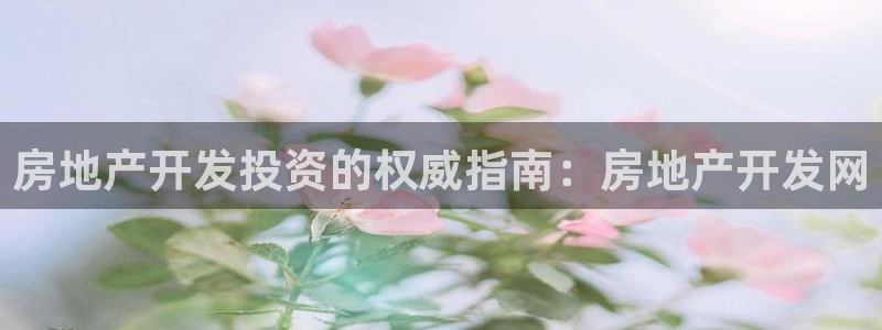 万向娱乐平台代理多少钱一个月