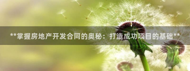 万向娱乐平台代理多少钱一个