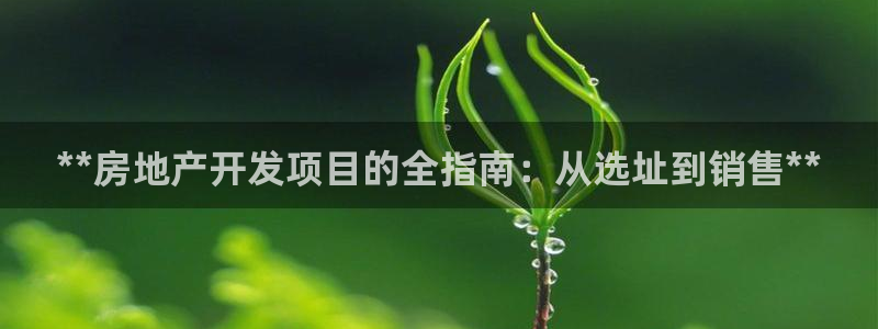 万向娱乐平台代理多少钱一个