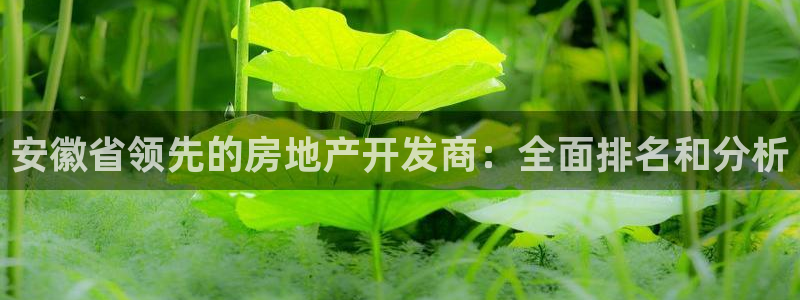 万向娱乐官网下载安卓