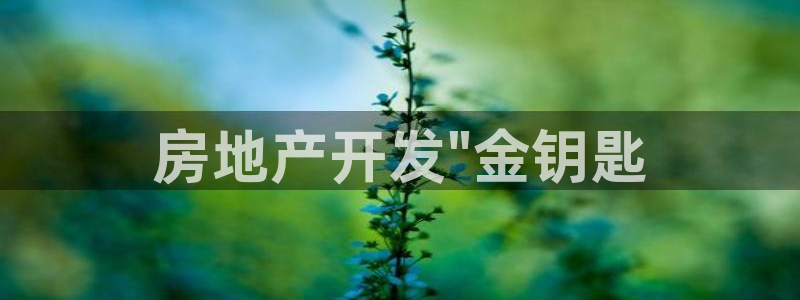 万向娱乐平台代理怎么样可靠吗