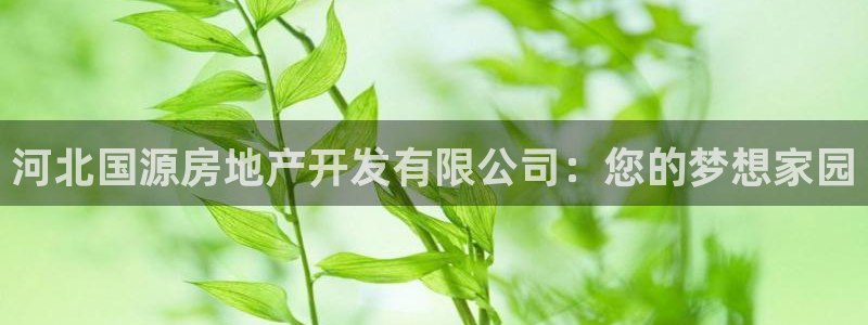 万向娱乐官网下载安卓
