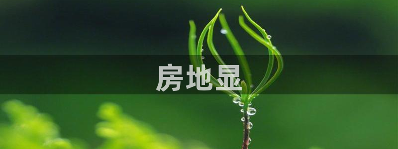 万向娱乐灯333OO