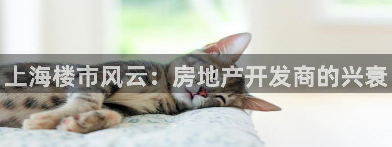 万向娱乐挂机