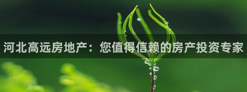 万向娱乐