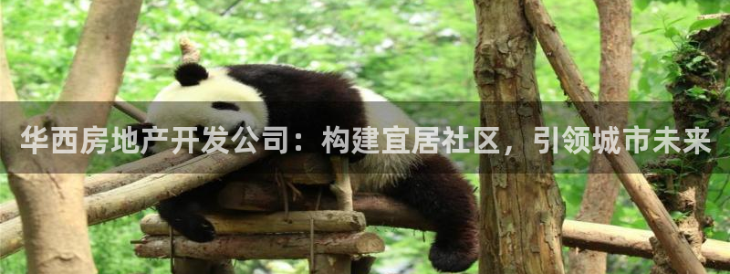 万向娱乐老板