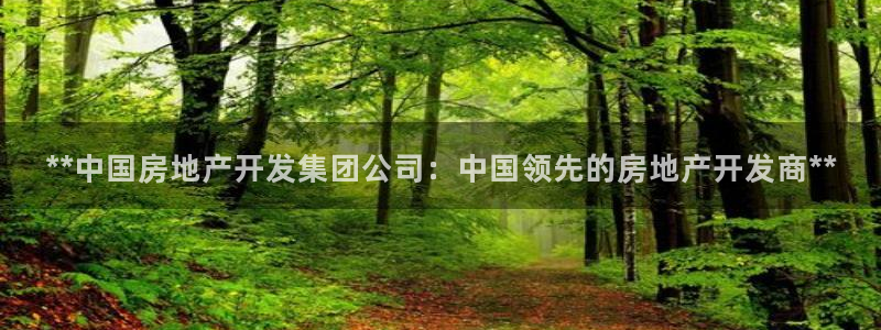 万向娱乐技术
