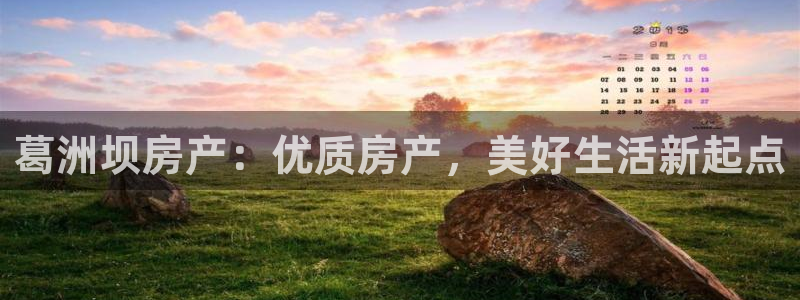 万向娱乐登陆官网下载