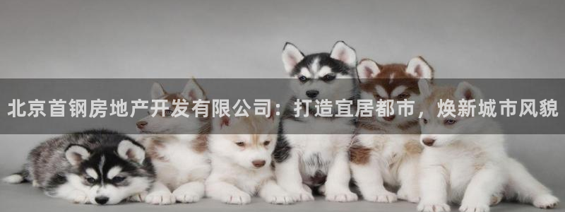 万向娱乐官网网址是多少