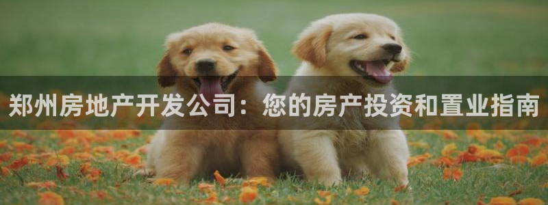 万向娱乐平台代理怎么样啊