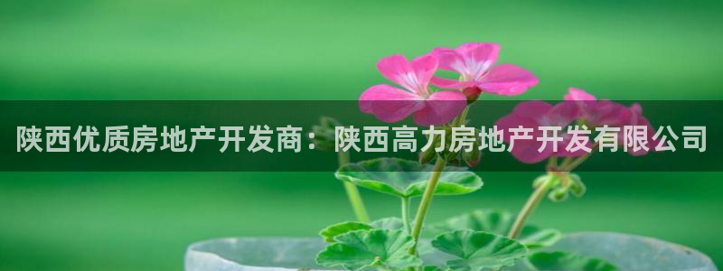 万向娱乐的联系方式是什么