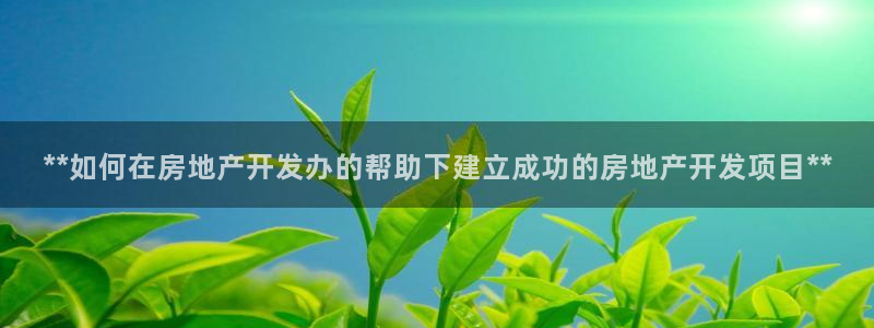 万向娱乐app