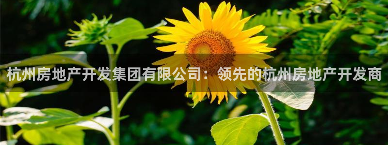 万向娱乐平台代理多少钱一年